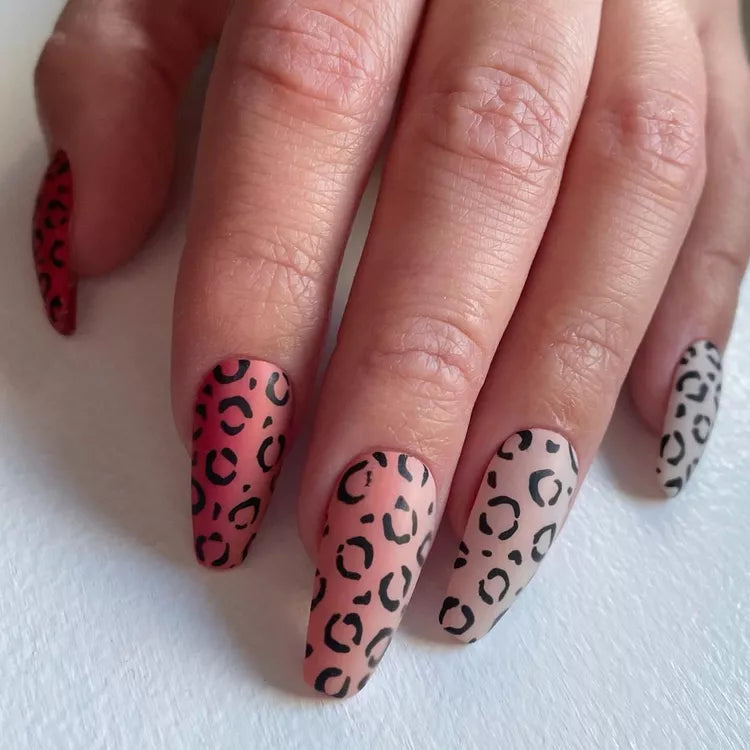 Matte Leopard Ombre